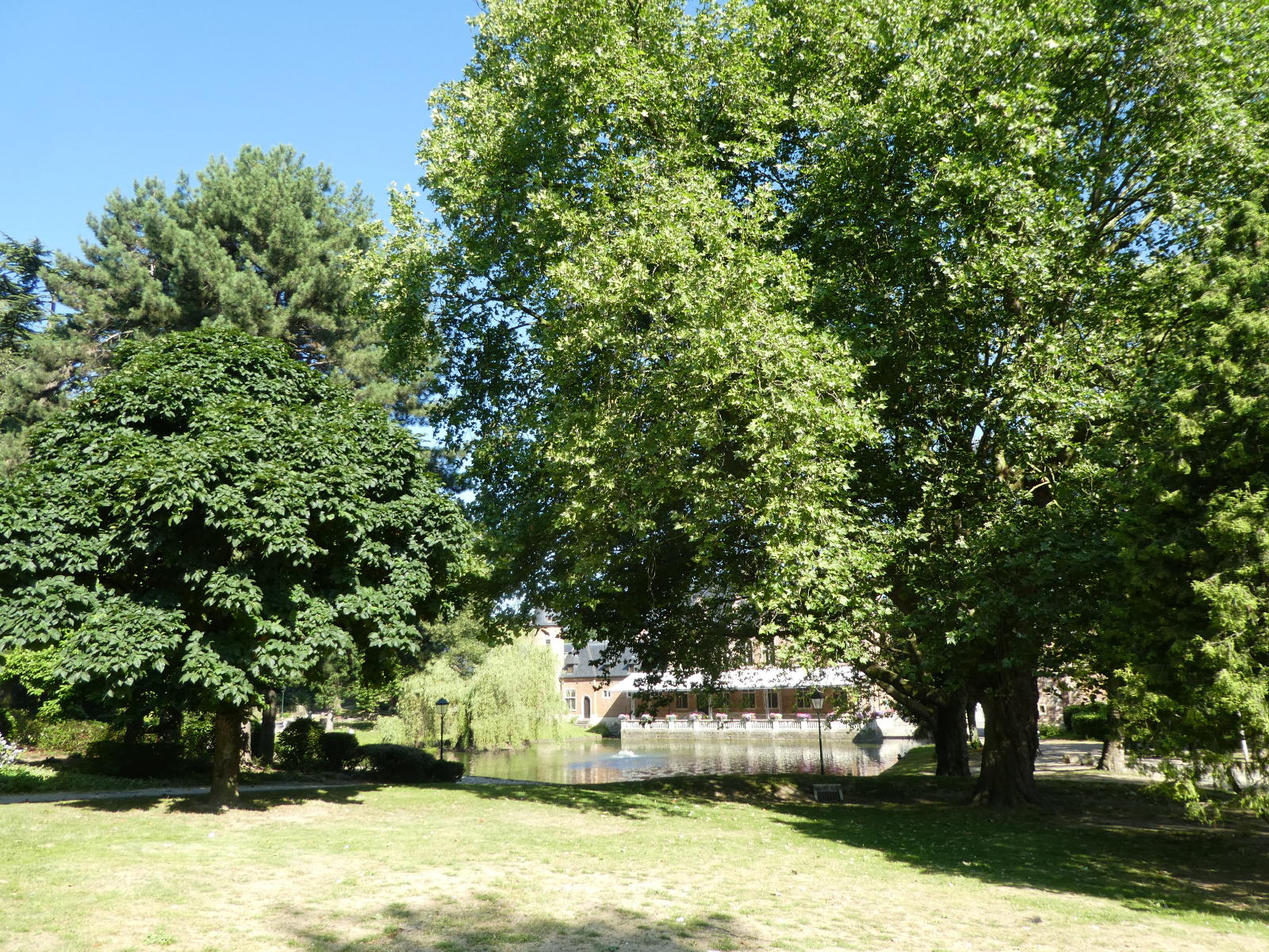 Etang 3 et platanes