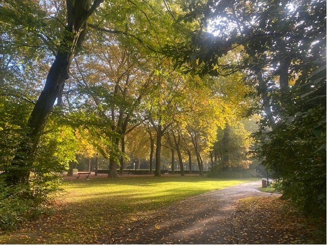 Parc elisabeth