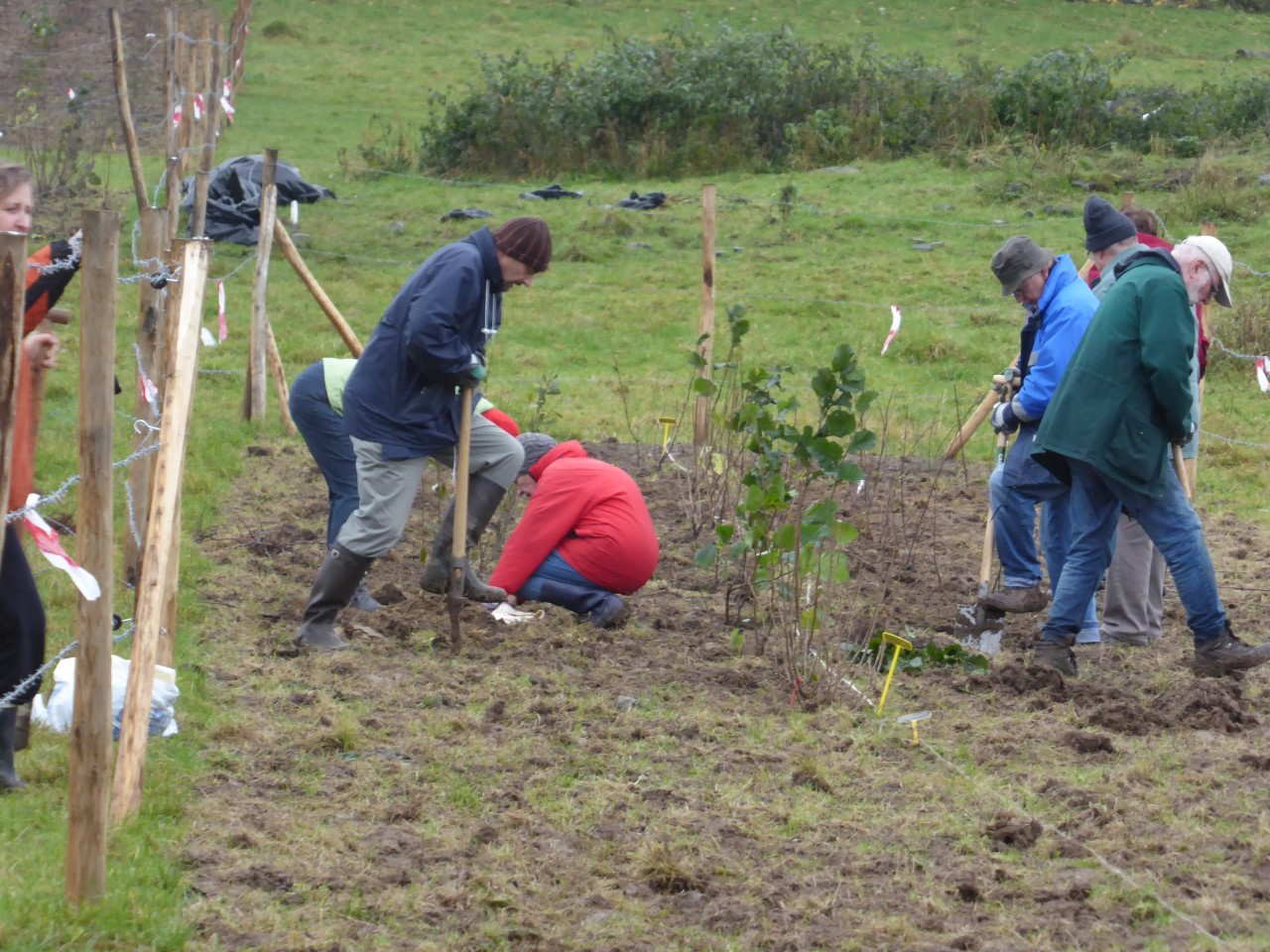 Plantation 1 photo sylvie jottrand