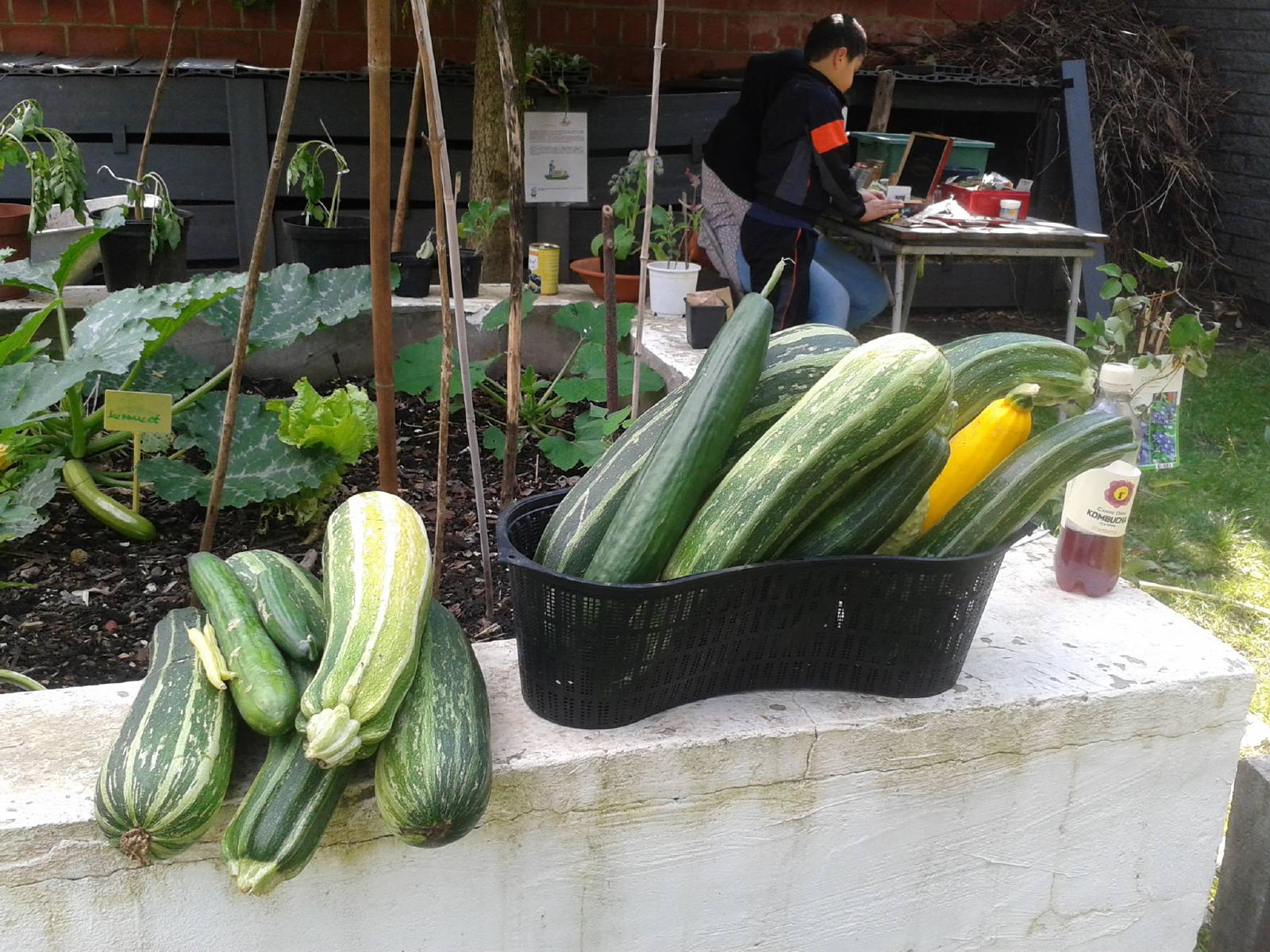 Potager