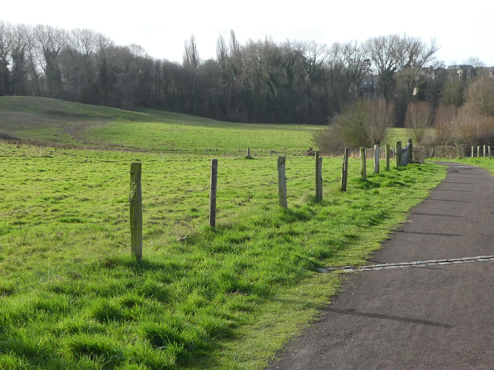 Zavelenberg 1