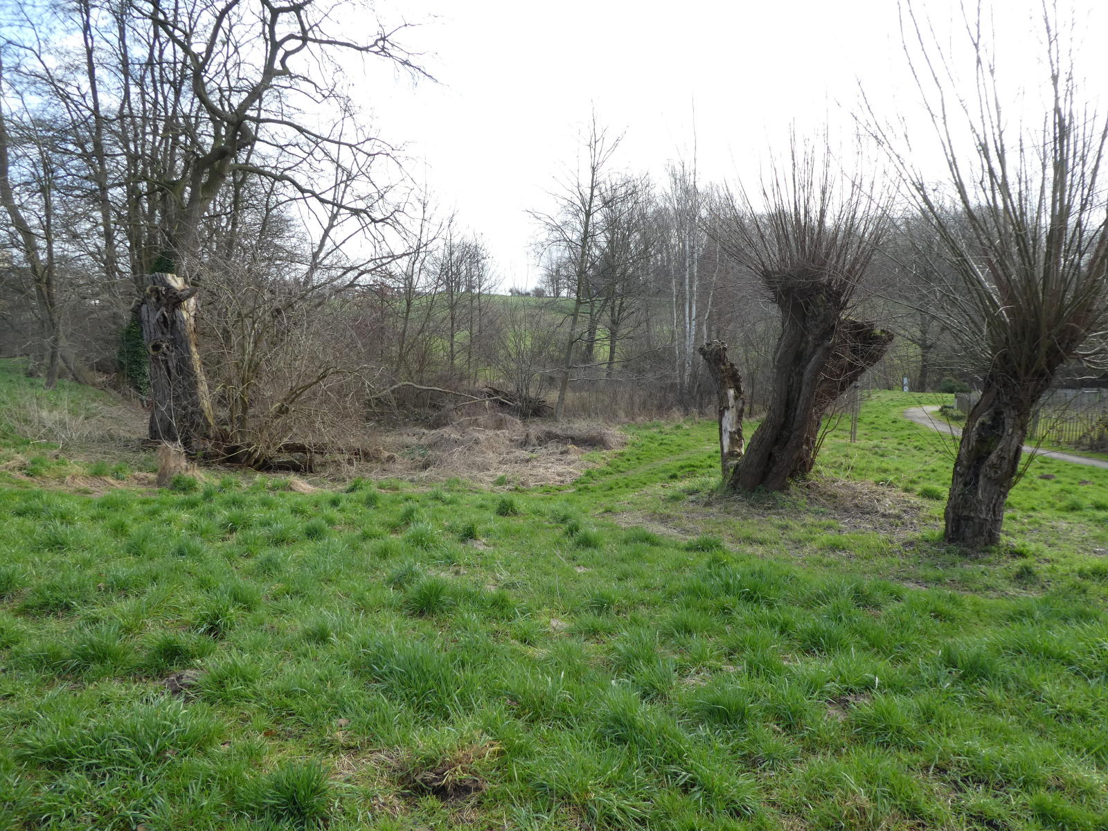 Zavelenberg 2