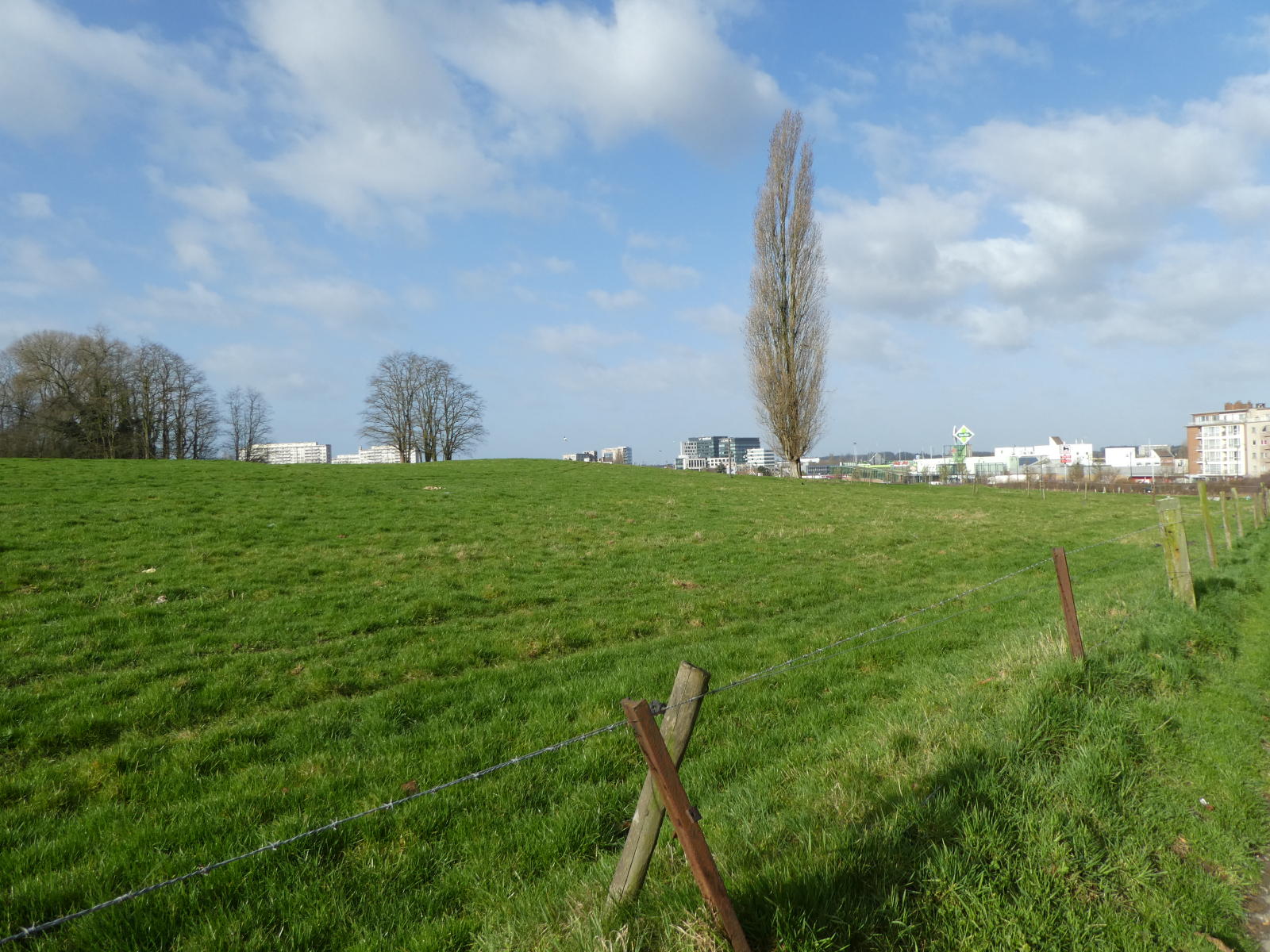 Zavelenberg 4